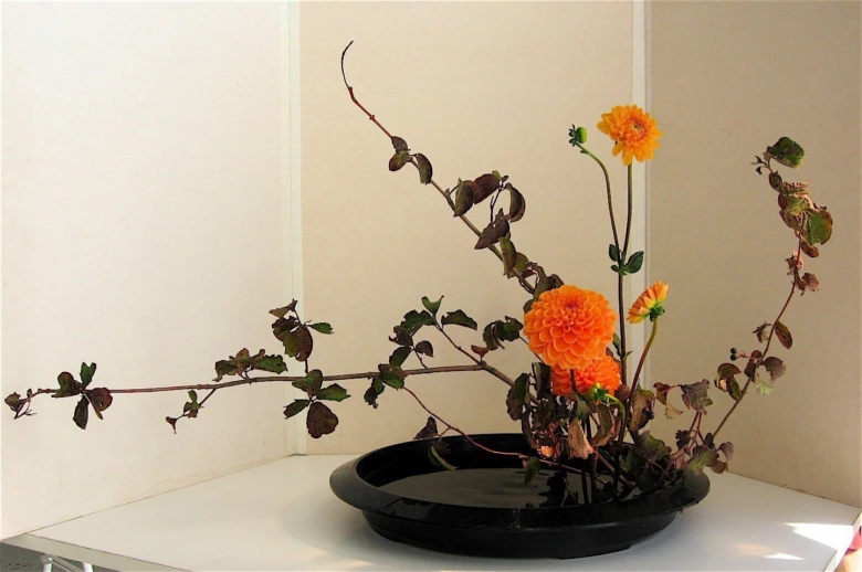 Japonská ikebana s oranžovými květy v černé mise na bílém stole.