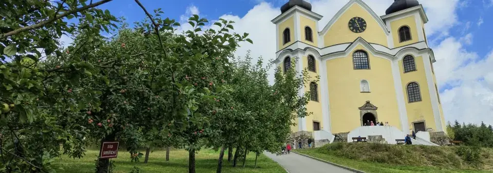 Žlutý kostel s ovocnými stromy v zahradě bez škůdců.