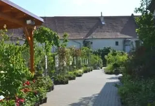 Zelená zahrada s cestou vedoucí k budově v pozadí.