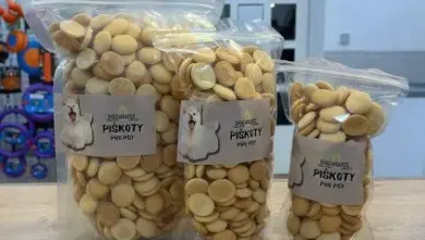 Tři sáčky psích sušenek na dřevěném povrchu.