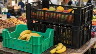 Plastové krabice s ovocem na trhu ukázka použití HDPE