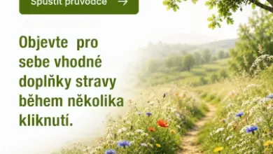 Cesta mezi kvetoucími trnkami na slunné louce