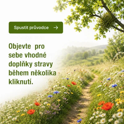 Cesta mezi kvetoucími trnkami na slunné louce
